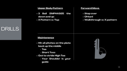 BOLA+ Swing Analysis